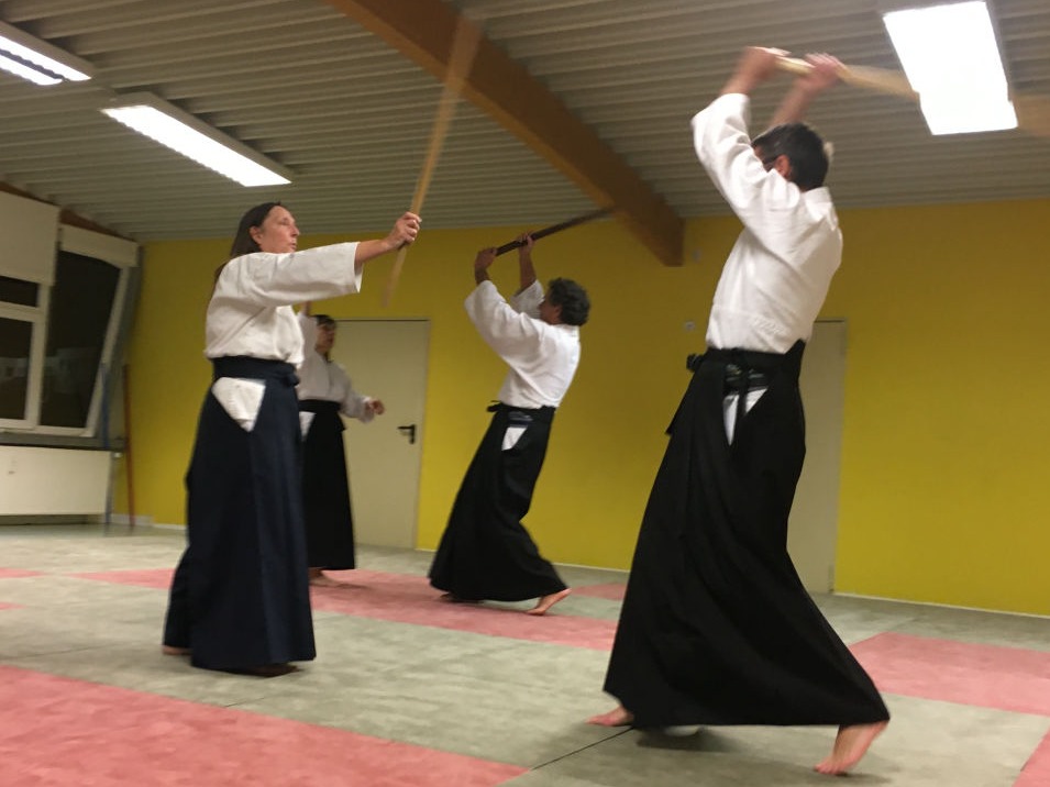 Bokken Training